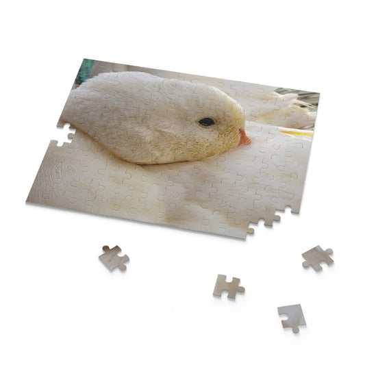 "Runi" Pekin duck Puzzle