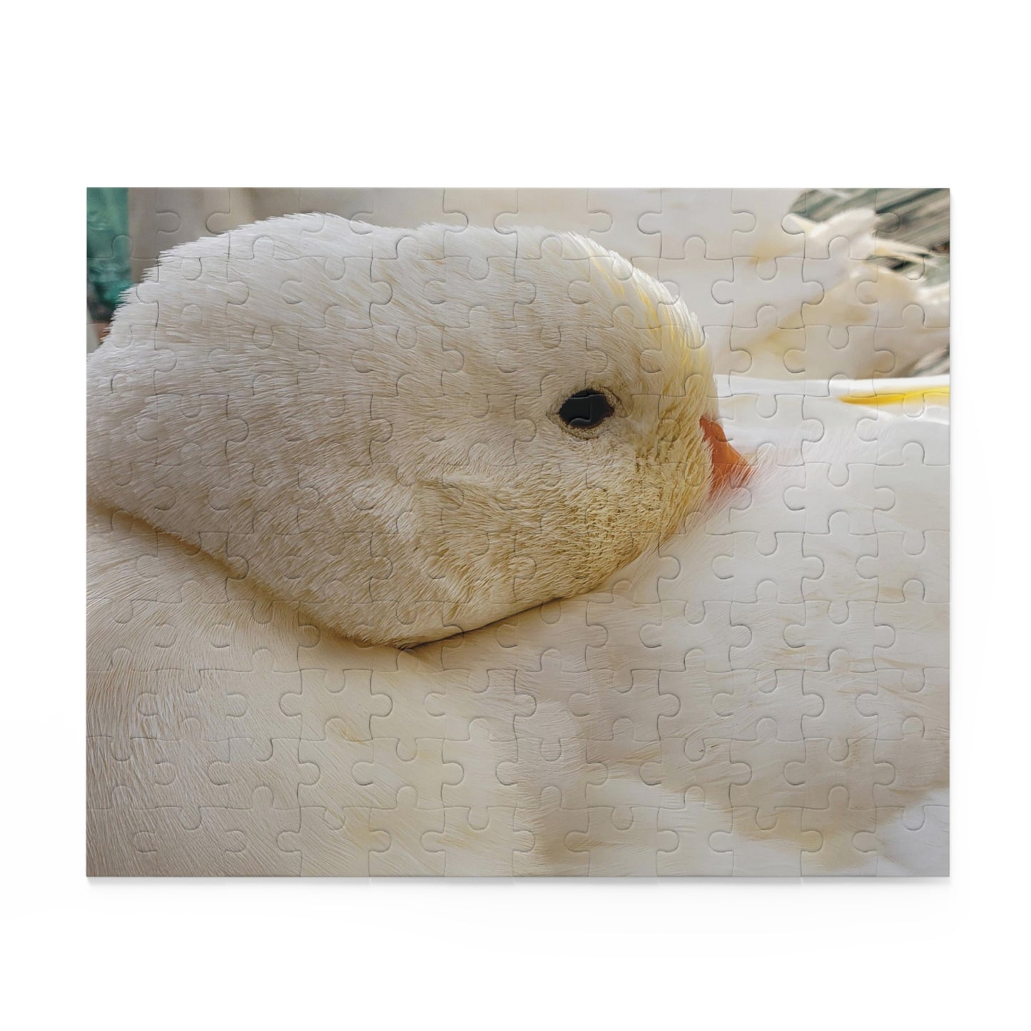 "Runi" Pekin duck Puzzle