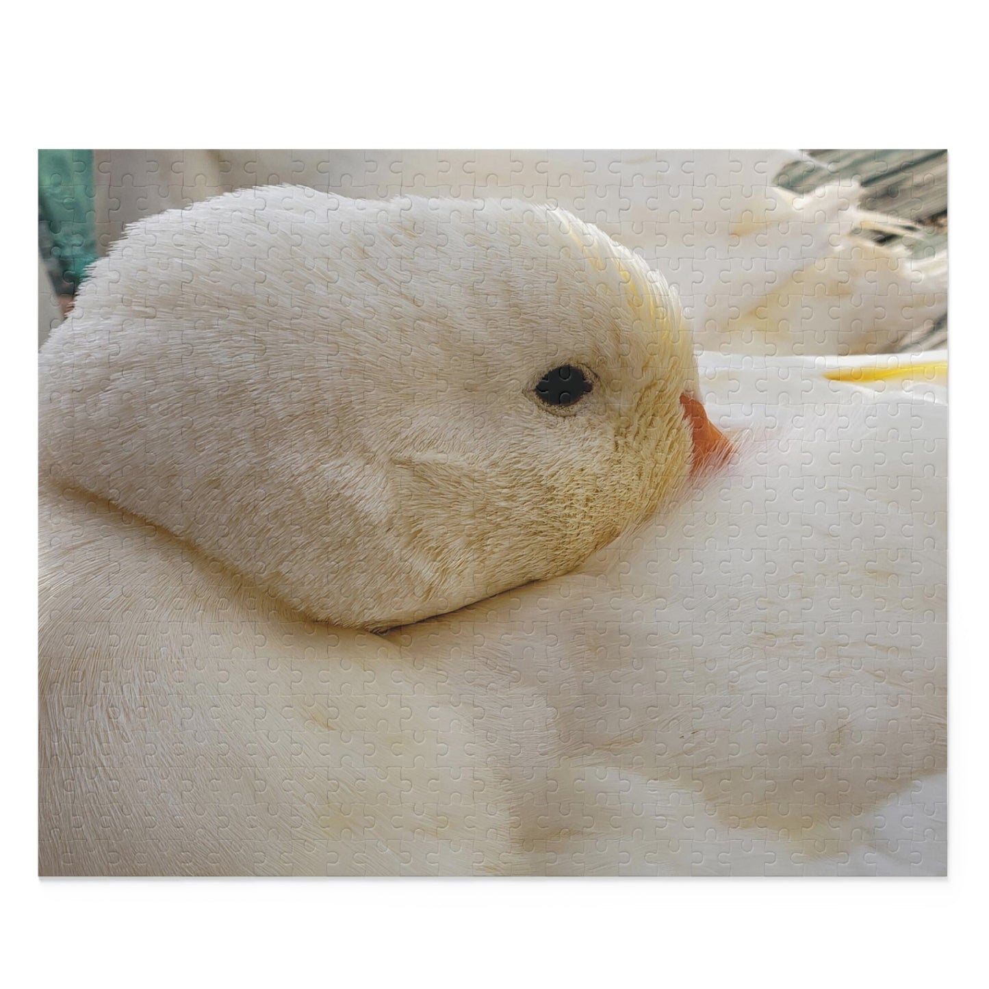 "Runi" Pekin duck Puzzle